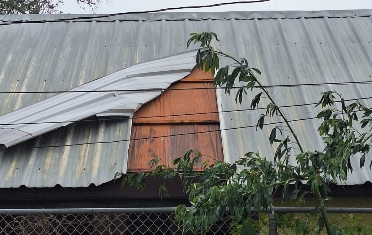 A tin roof with wind damage that reveals plywood beneath. The building is behind a chain-link fence and small tree, with electrical power lines across it.