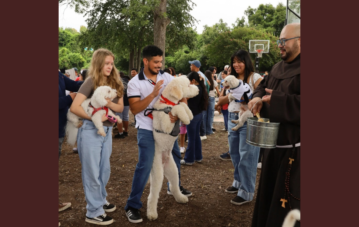 Br. Carlos Portillo, OFM, stopped short of puddles for poodles at the pet blessing event in Durham, NC. (Photo courtesy of Immaculate Conception Catholic Church)
