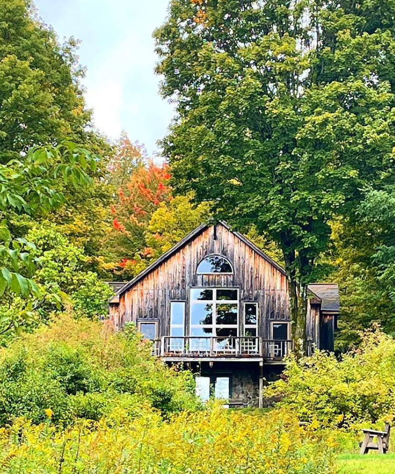 A wooden building stands in a wooded area with long grass and a wooden bench in front.