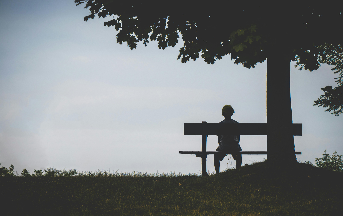 A person sits on a bench under a tree.