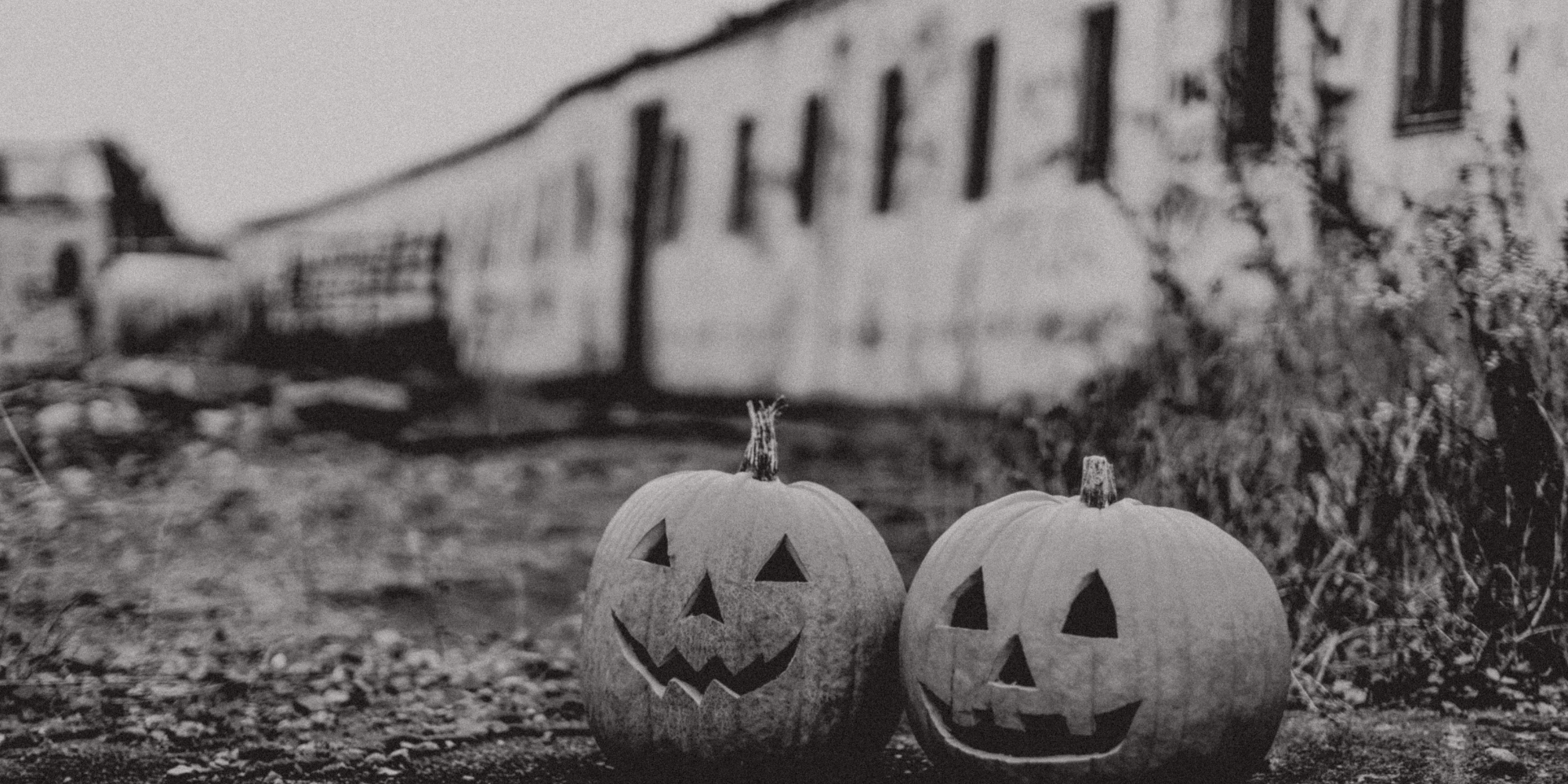 Sullivan's Falafel & Kebab / Döner Joint What is all hallow's eve a catholic perspective on halloween